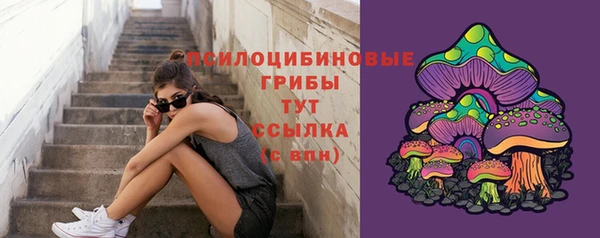 гидра Горнозаводск