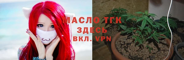 СК Горняк