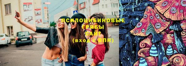 СК Горняк