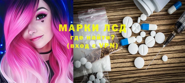 гидра Горнозаводск
