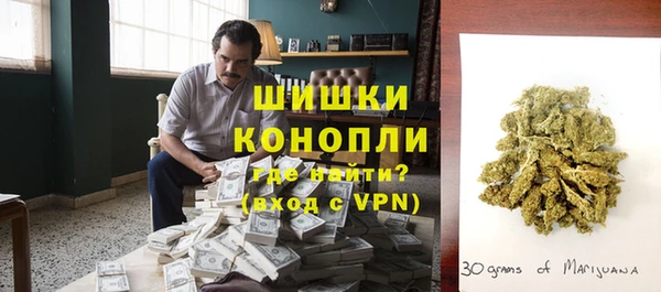 гидра Горнозаводск